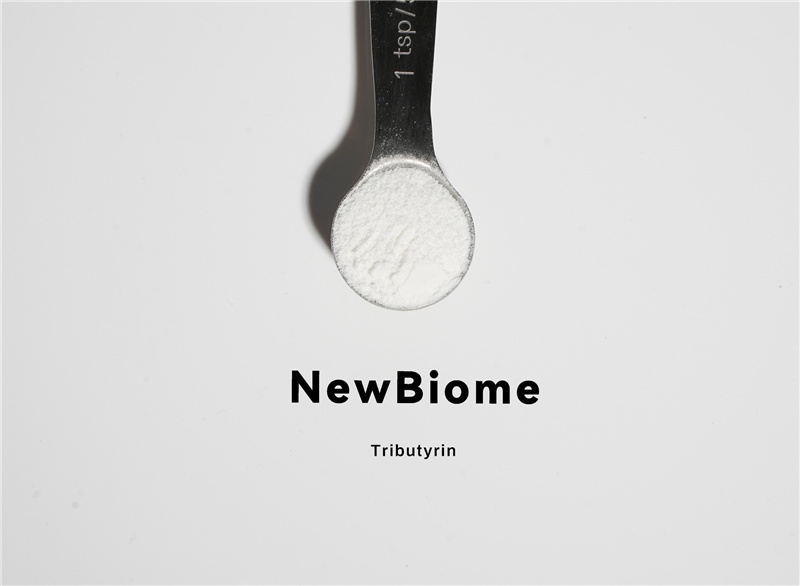 New Biome