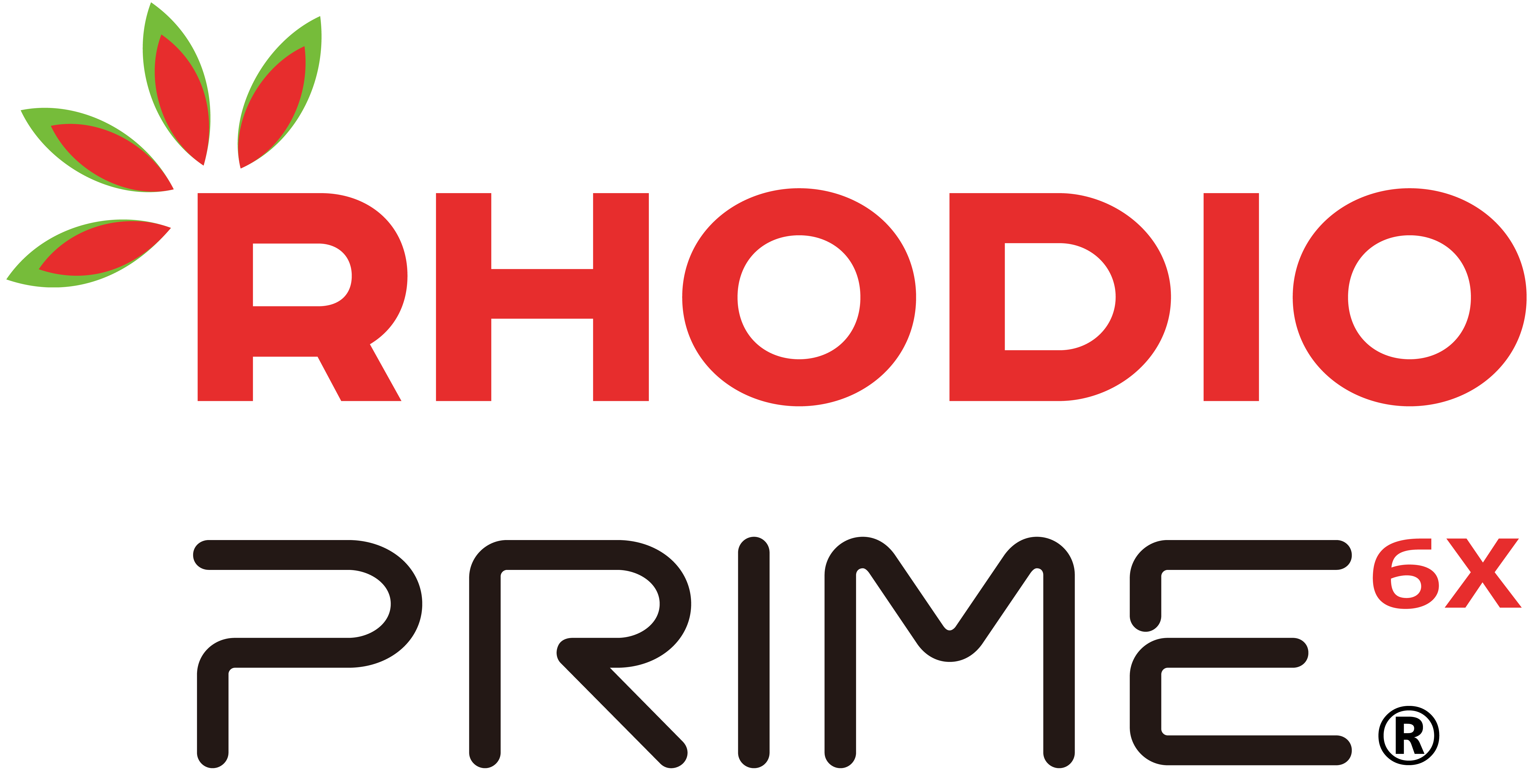 RhodioPrime®6X Logo