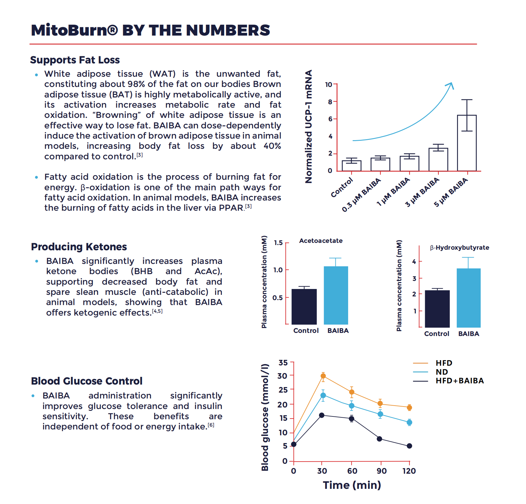 MitoBurn® Benefits