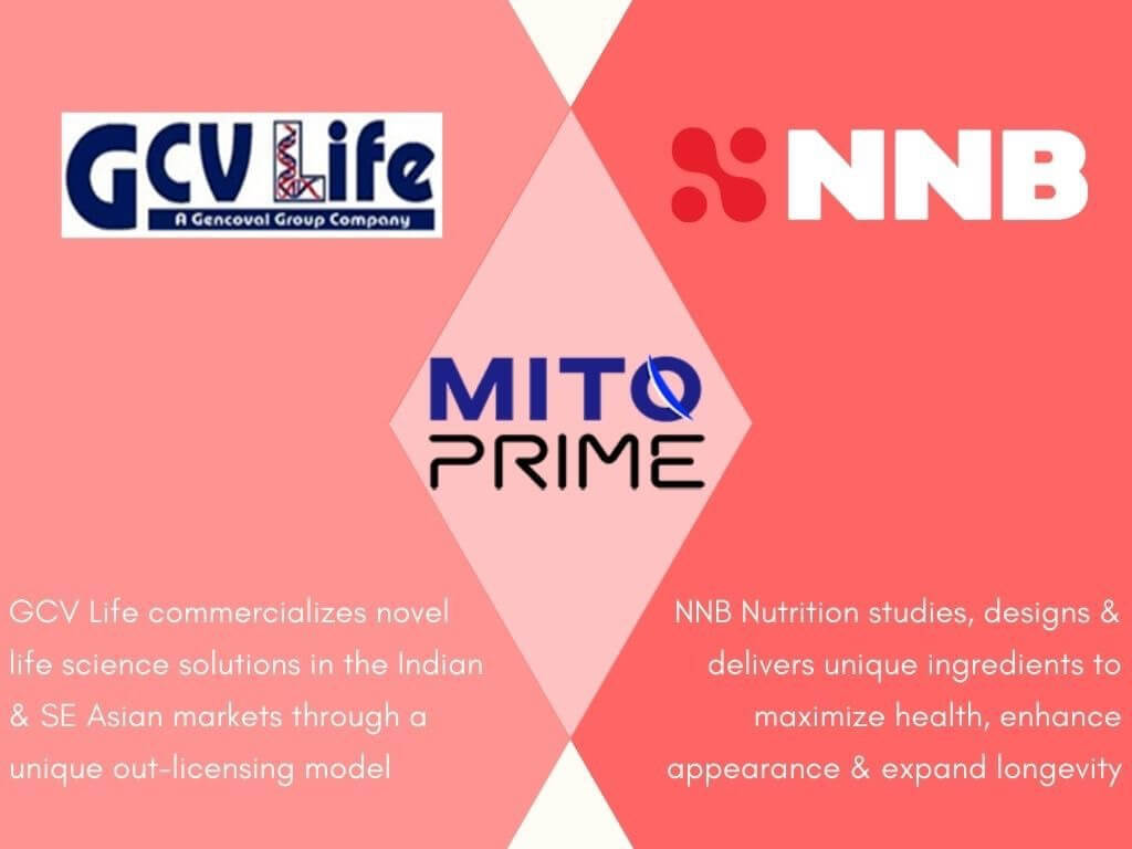 NNB-GCV-Life-Mito-Prime-Collaboration