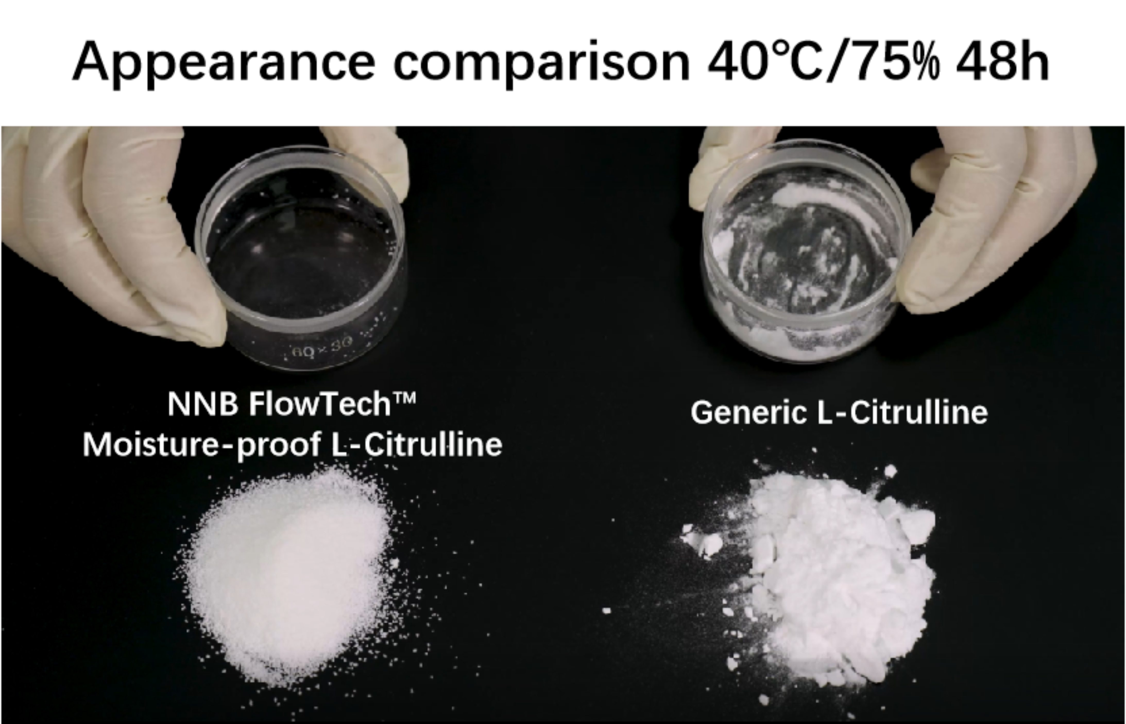 FlowTech™ Series – Non-Hygroscopic L-Citrulline - Ingredient Description