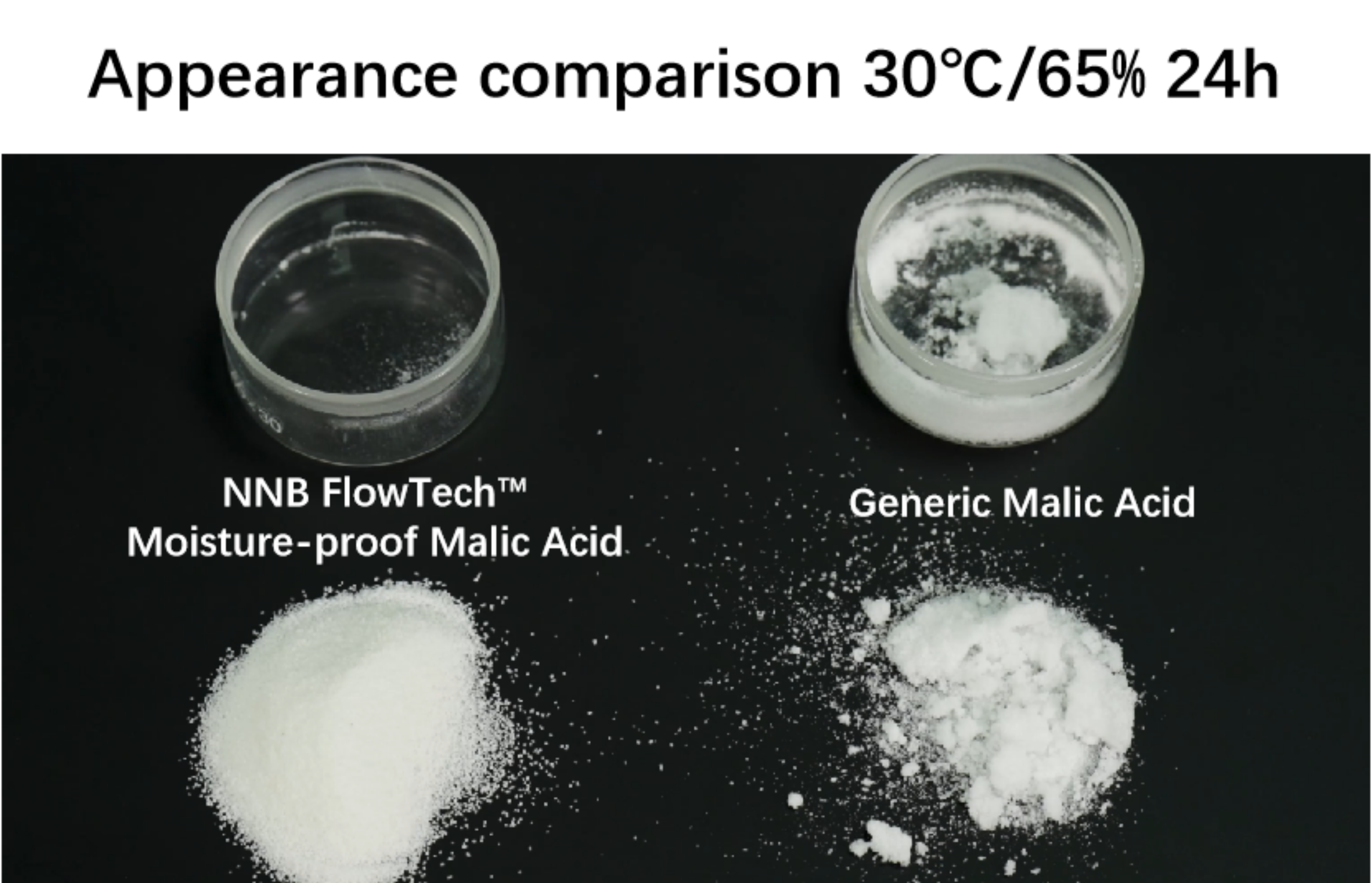 FlowTech™ Series – Non-Hygroscopic DL-Malic Acid - Ingredient Description