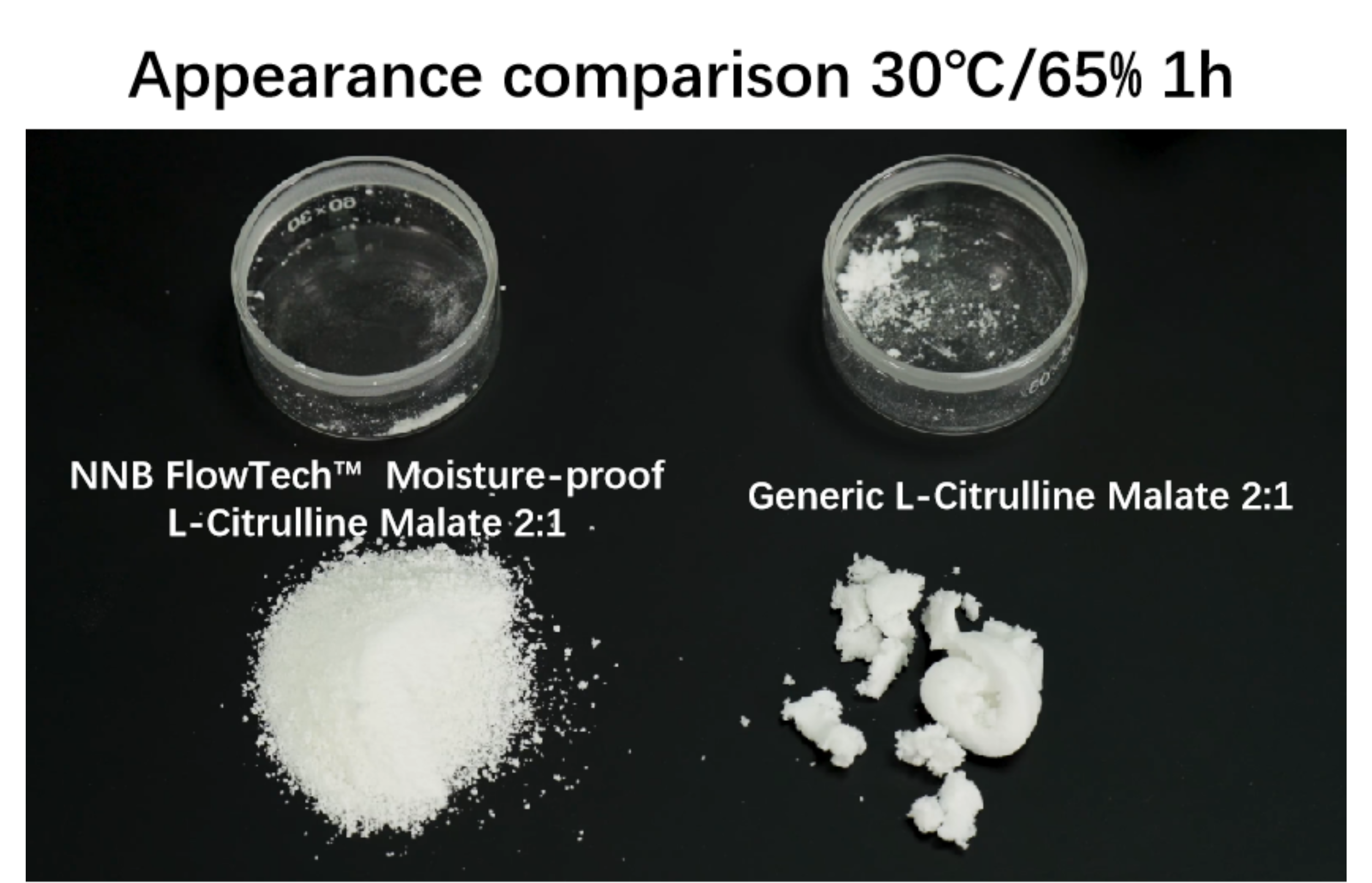 FlowTech™ Series – Non-Hygroscopic L-Citrulline DL-Malate 2:1 - Ingredient Description