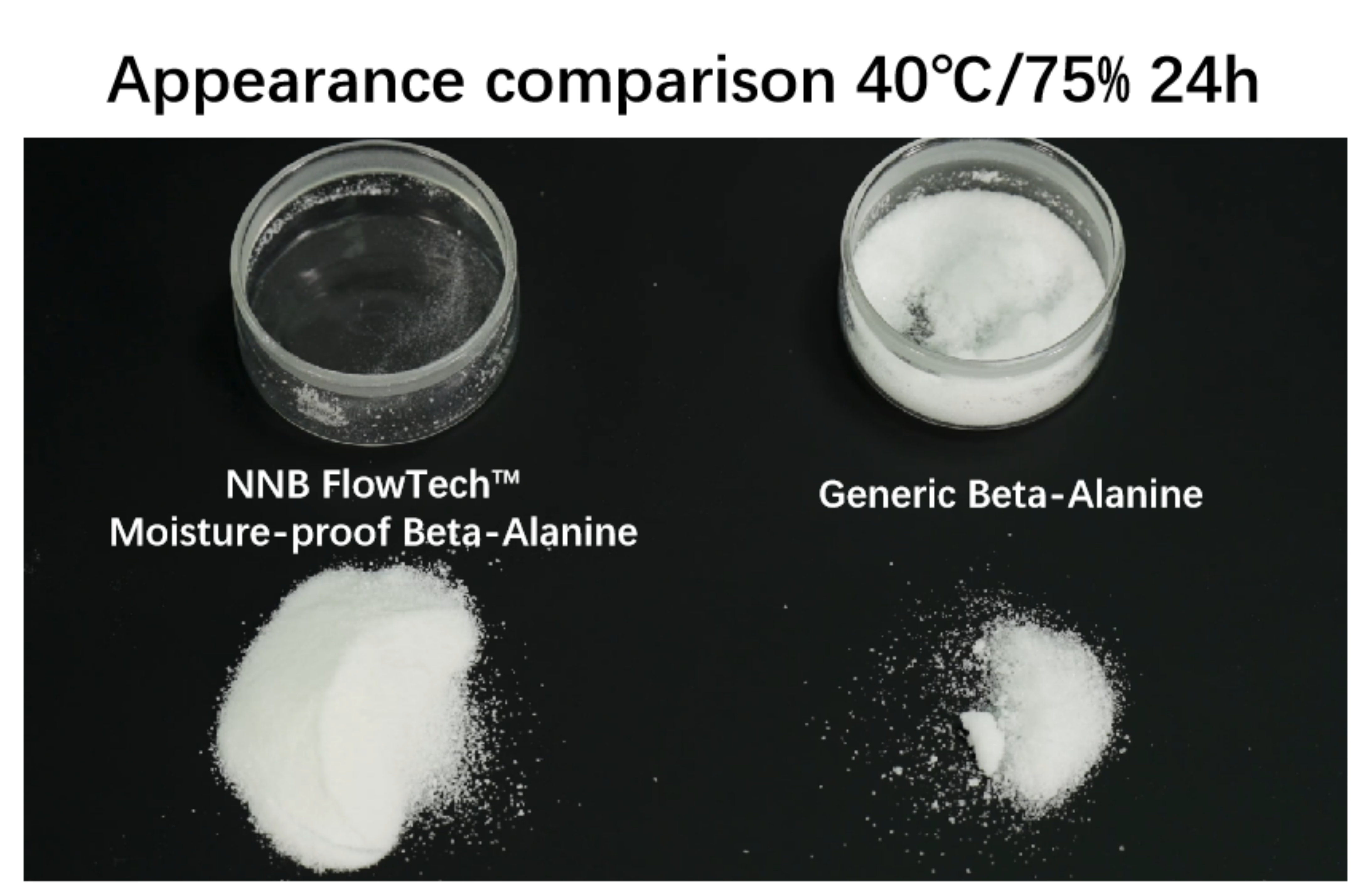 FlowTech™ Series – Non-Hygroscopic Beta-Alanine - Ingredient Description