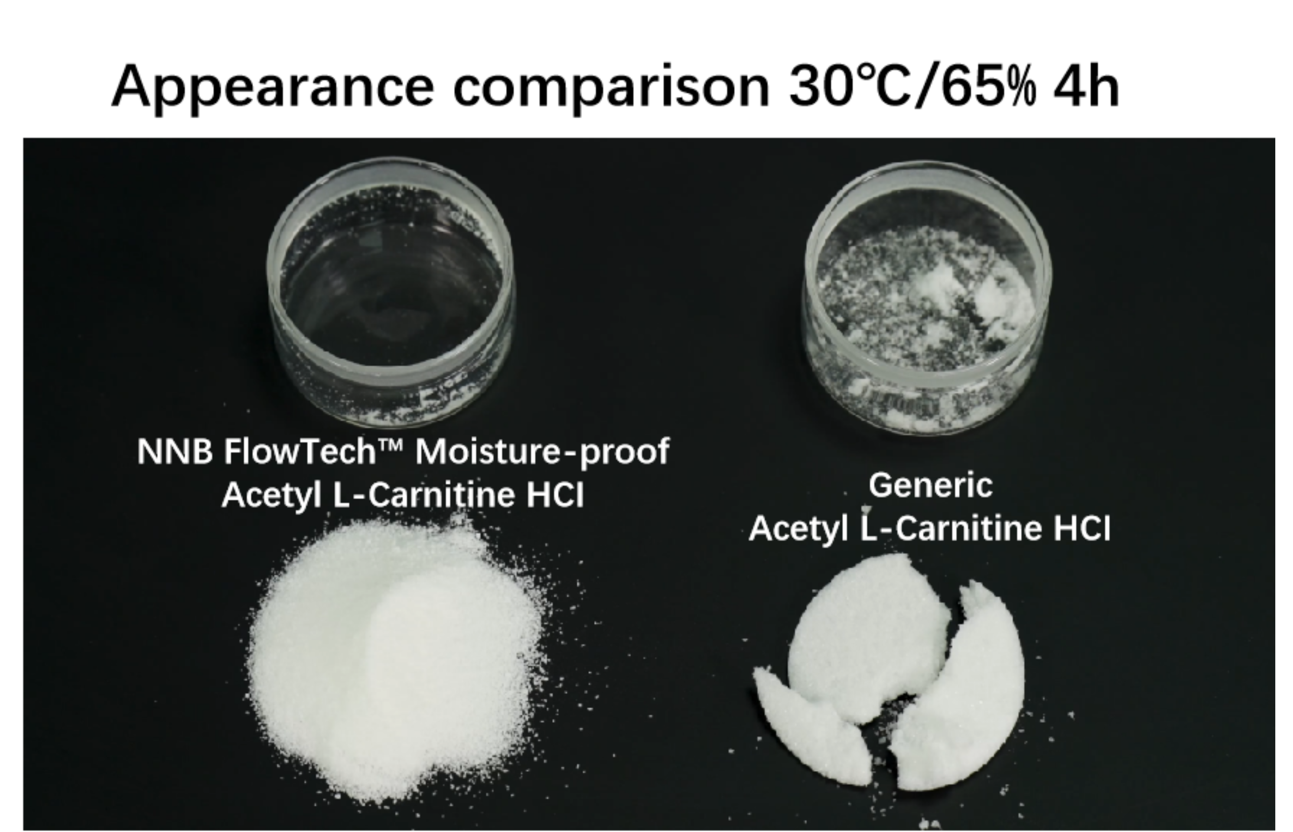 FlowTech™ Series – Non-Hygroscopic Acetyl L-Carnitine HCI - Ingredient Description