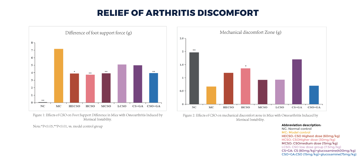 RELIEF OF ARTHRITIS DISCOMFORT