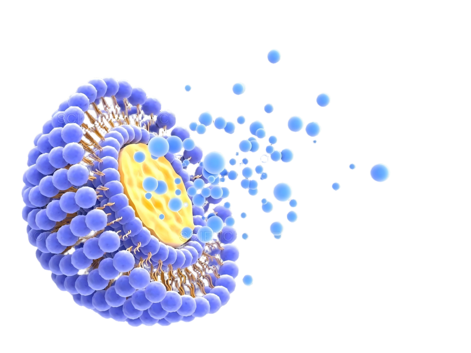 BioVantage™ Benefits