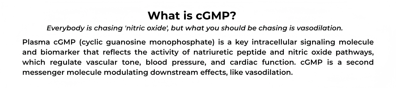 What is cGMP