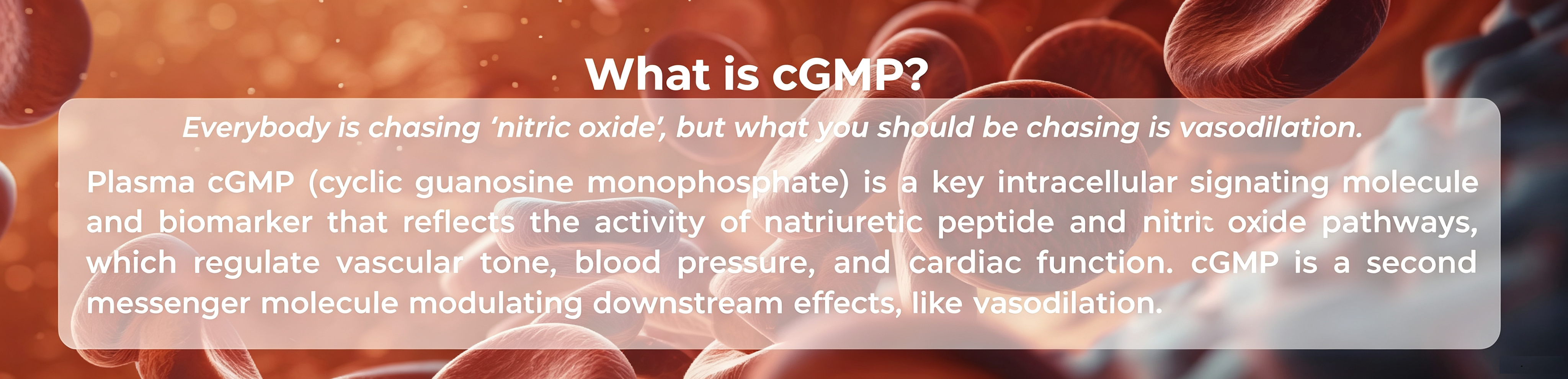What is cGMP
