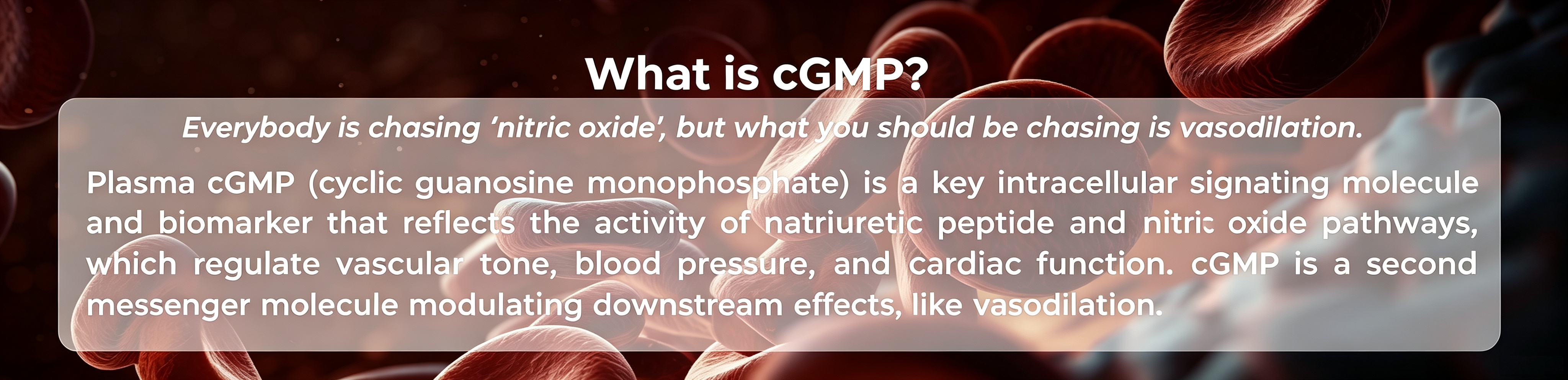 What is cGMP